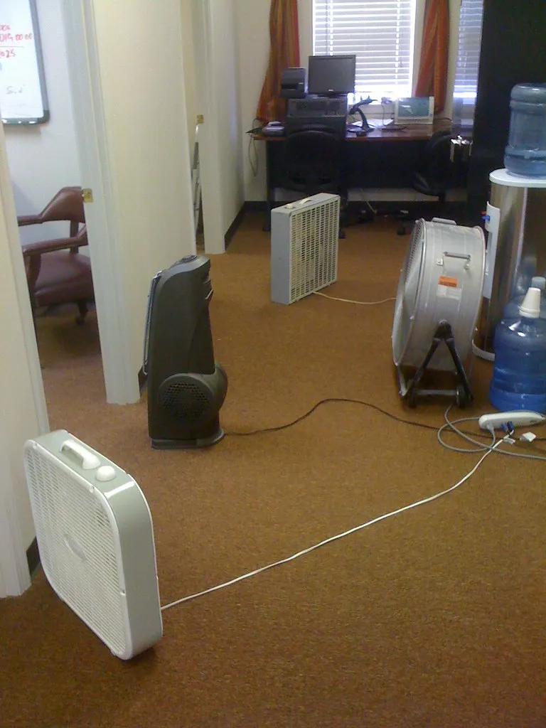 All Kinds of Fans at the Other End of the Hall