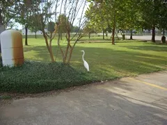 Crane at work